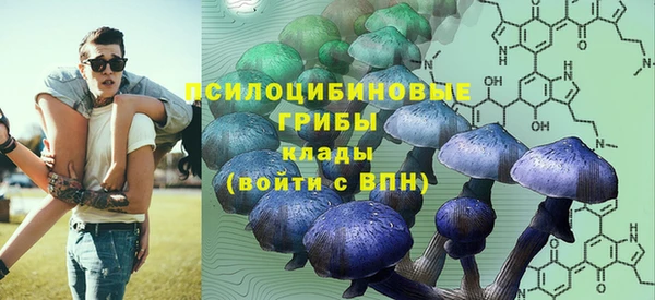 амф Заводоуковск